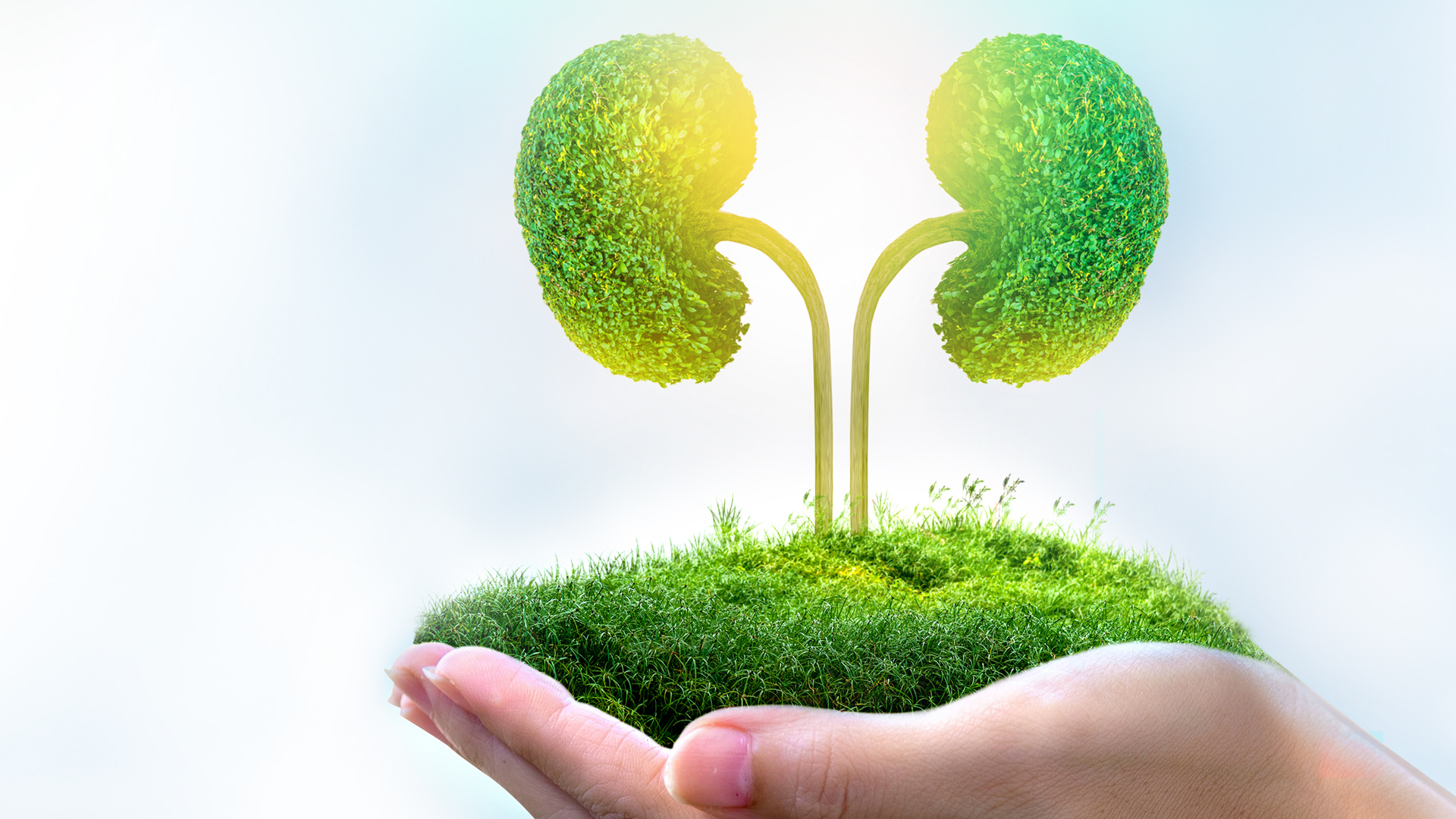 Niereninsuffizienz: die unterschätzte Gefahr - Wie erkennen, wie behandeln?