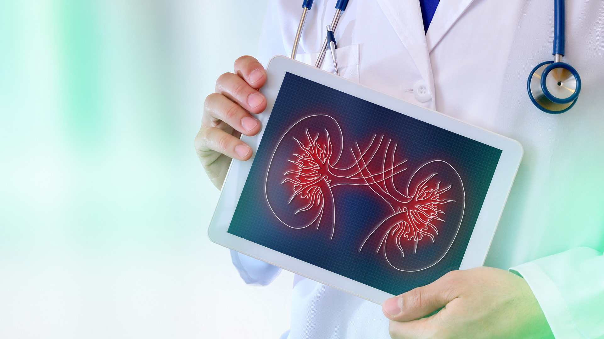 Arzt hält Tablet mit Nierensymbol