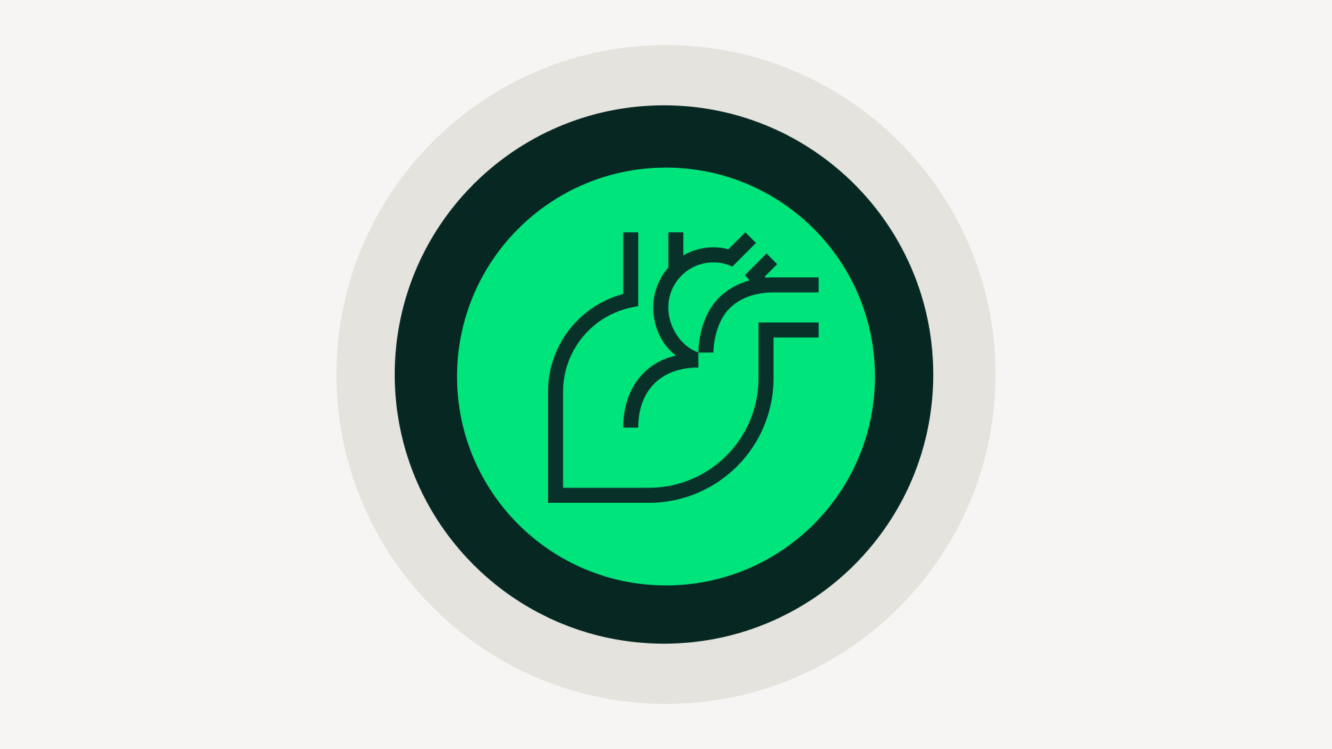 Visual Kardiologie