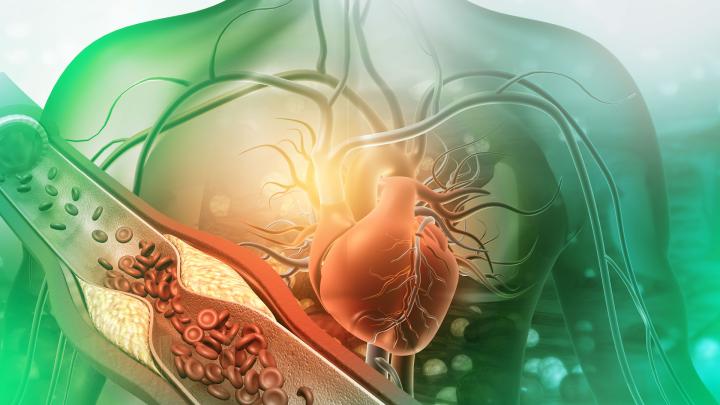 Paradigmenwechsel in der kardiovaskulären Medizin